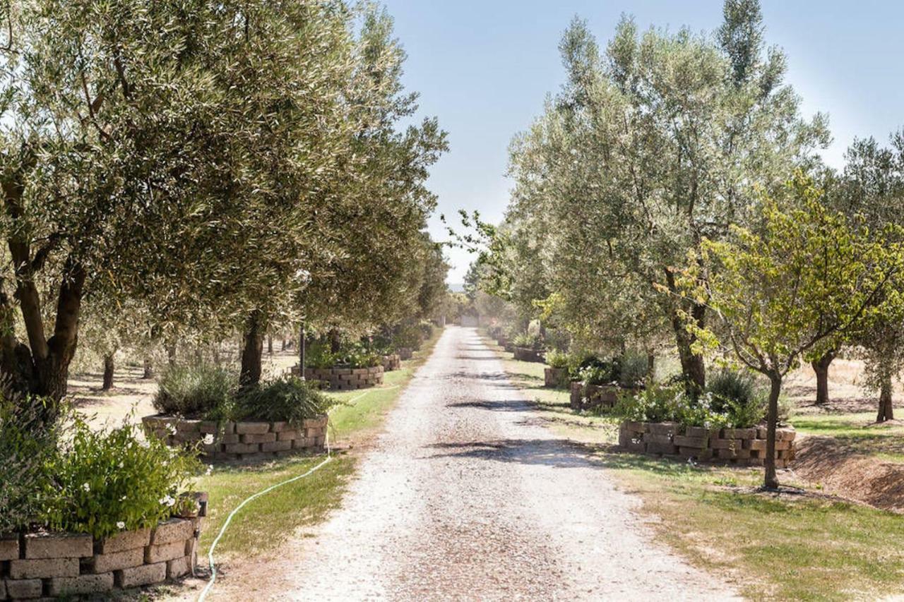 Under The Tuscan Sun Vicopisano Exterior photo